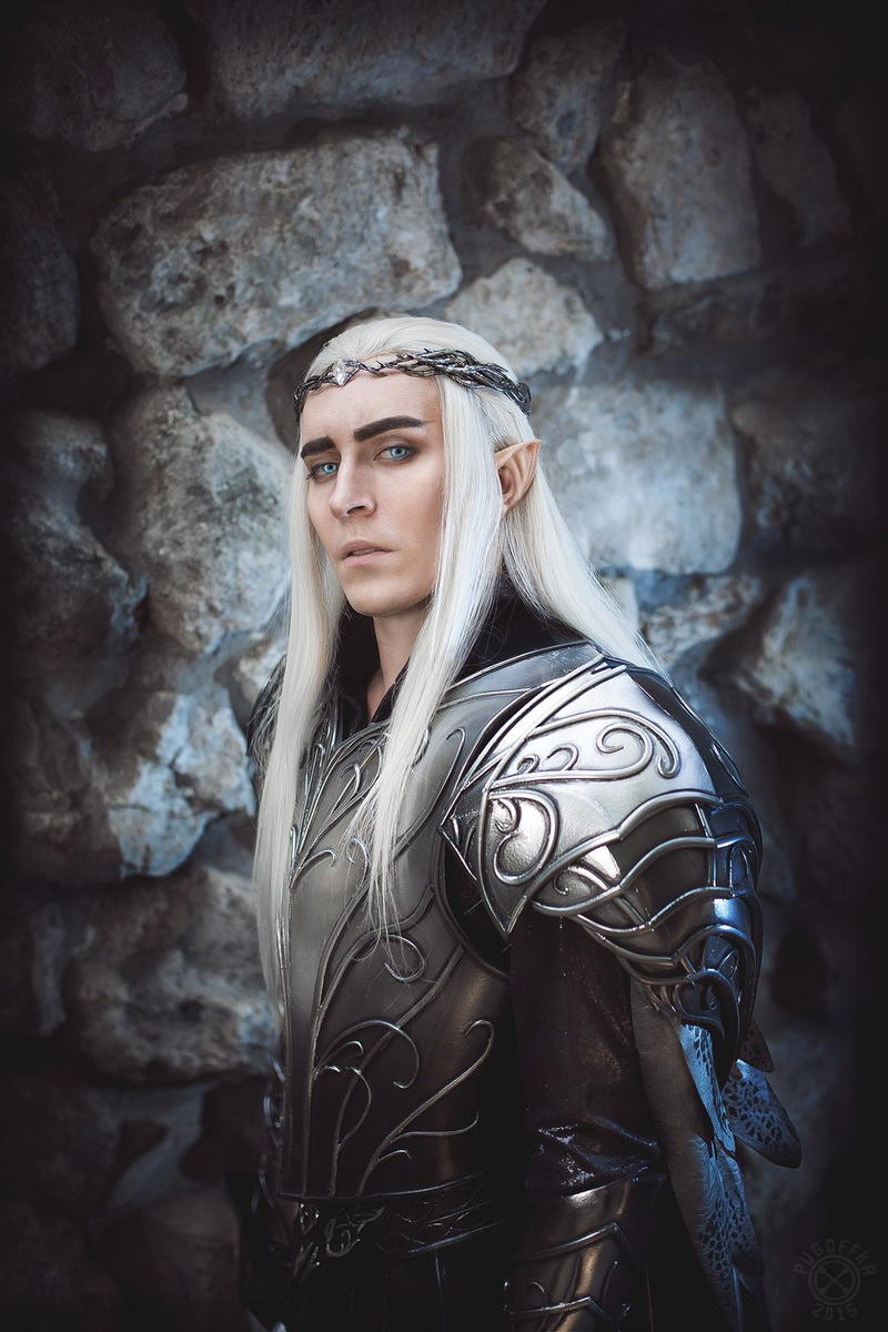 Illustration for article titled Not Sure If Cosplayer Or Actual Elven King